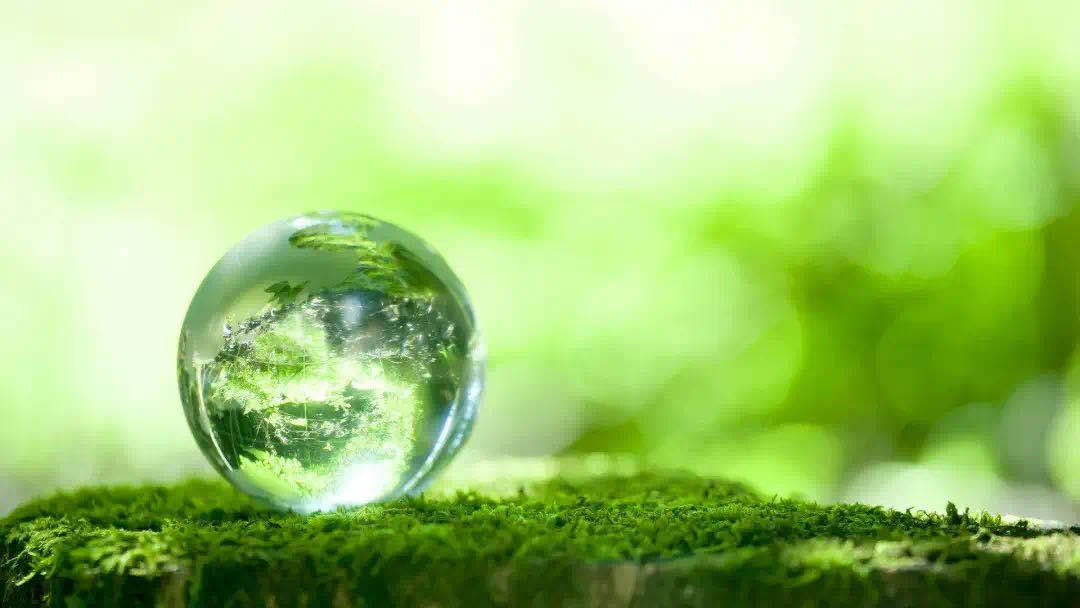 绿色金融百科——碳资产评估