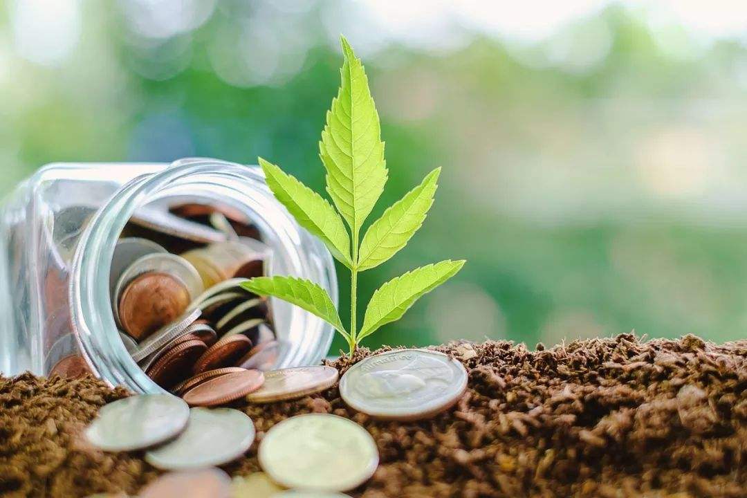 重磅！自然资源部、国家发改委等六部门发布