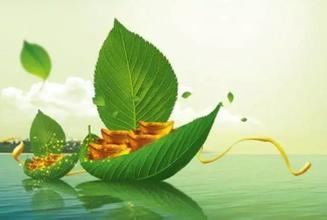 交银研究 | 上海加快打造国际绿色金融枢纽